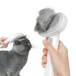 Best Brush for Ragdoll Cat
