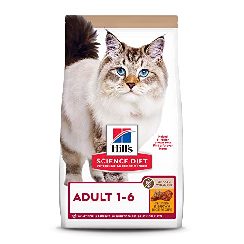 Best Cat Food for Cat With No Teeth