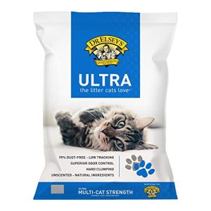 Best Cat Litter for Allergy Sufferers
