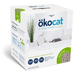 Best Cat Litter for Dust Allergies