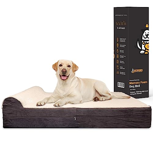 Best Dog Bed for Large Breeds