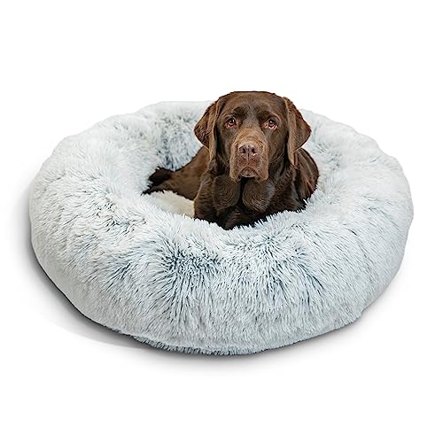 Best Dog Beds for Big Dogs