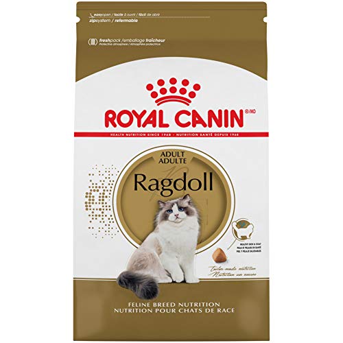 Best Dry Food for Ragdoll Cats