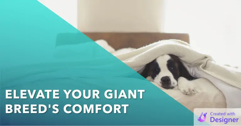 best elevated dog bed for giant breed