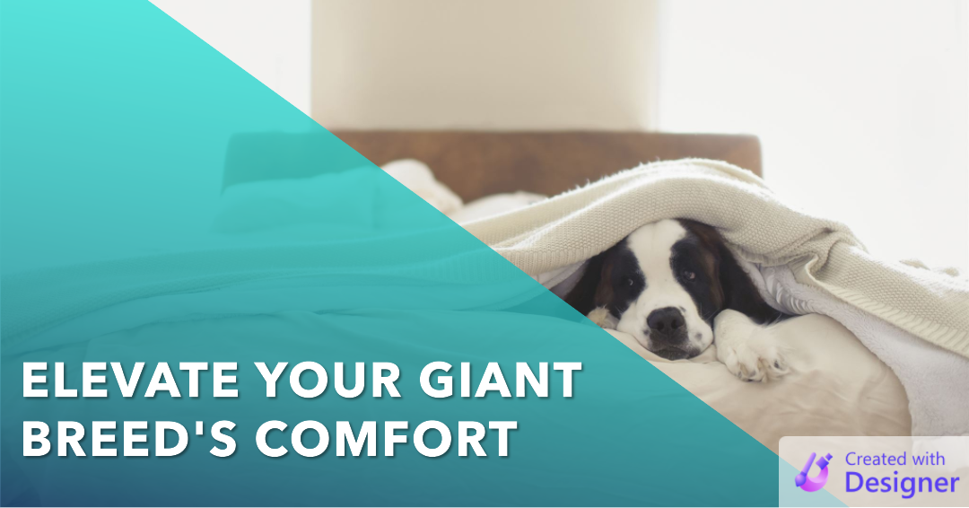 The 15 best elevated dog bed for giant breed In 2023 Top Picks and