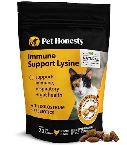 Best Food for Cat With Asthma