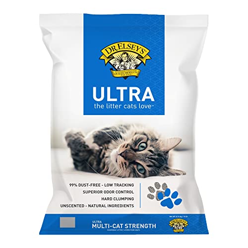 Best Kitty Litter for Allergies