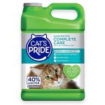 Best Litter for Allergic Cats