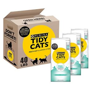Best Litter for Cats With Allergies