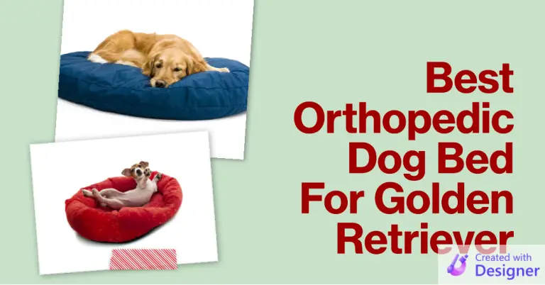 best orthopedic dog bed for golden retriever
