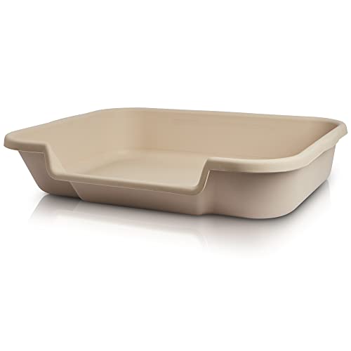 The 10 Best Senior Cat Litter Box Solution for Your Aging Feline