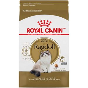 Best Wet Cat Food for Ragdolls