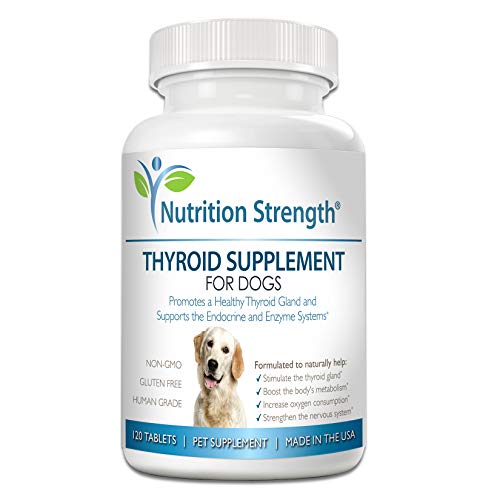 10 Best Dog Food For Dogs With Thyroid Problems In 2025 - Top Picks ...