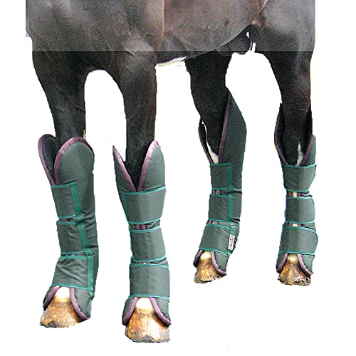 The 10 Best Shipping Boots For Horses In 2023 Top Picks &