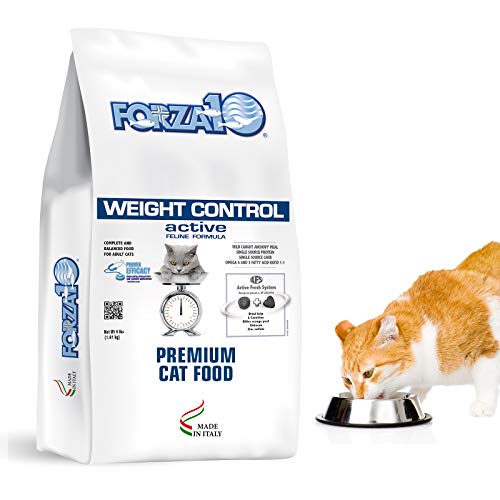 the-10-best-cat-food-for-obese-cats-in-2023-top-picks-recommended