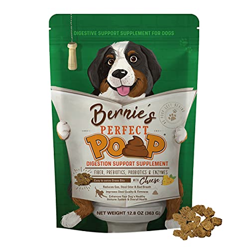 The 10 Best Dog Food For Smelly Poop In 2023 Top Picks &