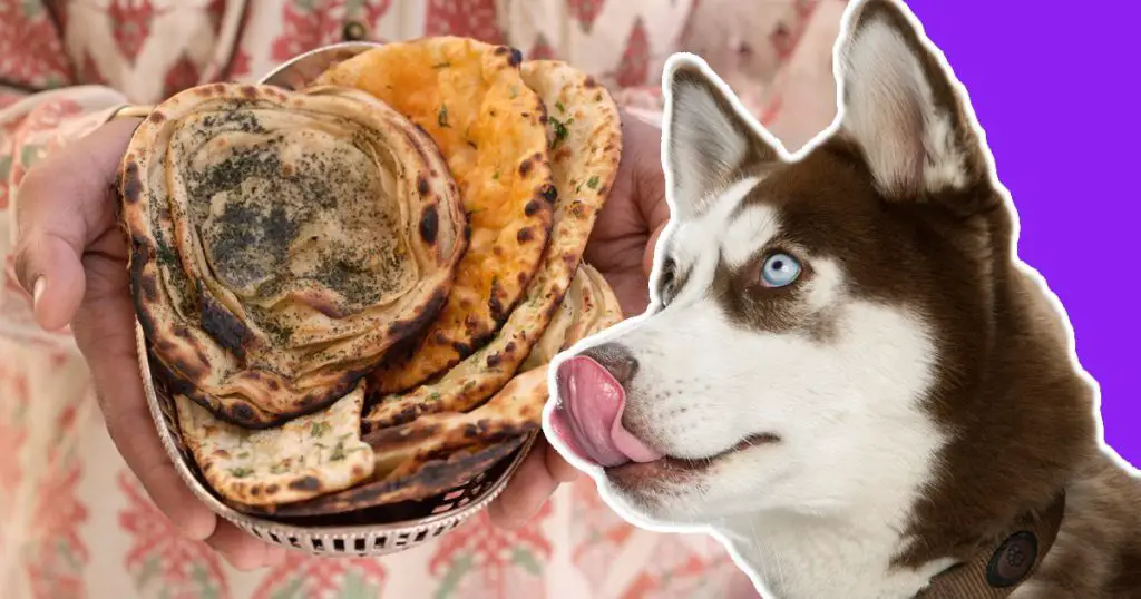 Can Dogs Eat Naan Bread