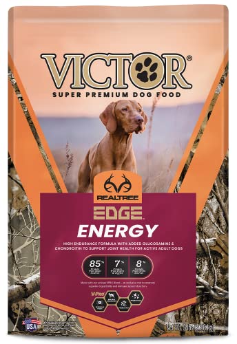 The 10 Best Dog Food For Active Hunting Dogs In 2023 - Top Picks ...