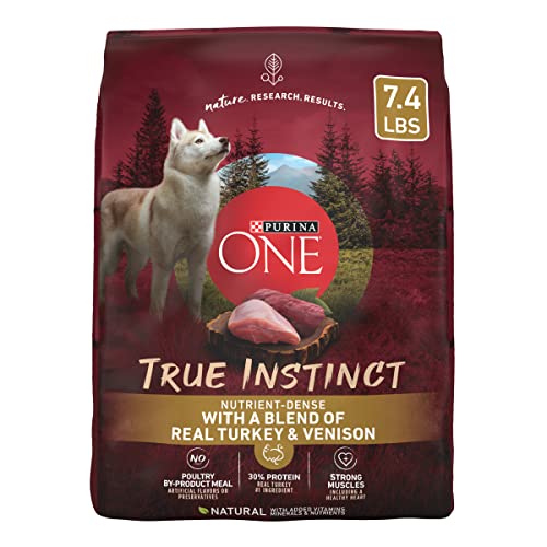 10 Best Dog Food For Older Huskies In 2023 Top Picks &