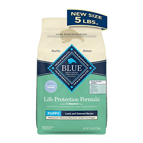 The 10 Best Dog Food For Blue Pitbulls In 2023 Top Picks &