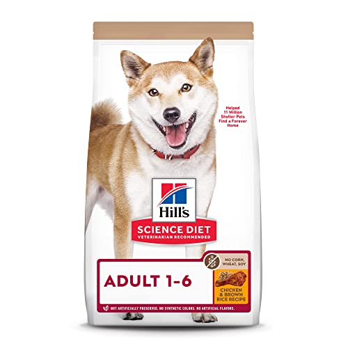 Best Food For Shiba Inu With Allergies