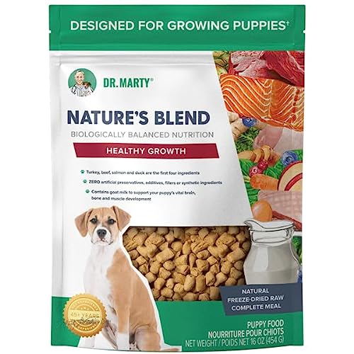 10 Best Raw Food For Rottweiler Puppy In 2023 Top Picks &