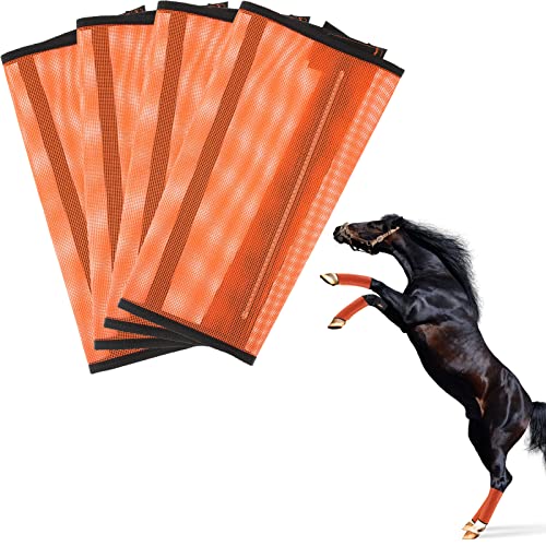 The 10 Best Horse Fly Boots In 2023 Top Picks &