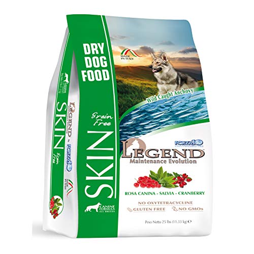 Best Dog Food For Frenchies With Skin Allergies