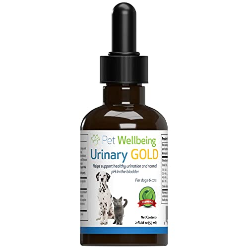 The 10 Best Cat Food For Urinary Tract Crystals In 2023 Top Picks
