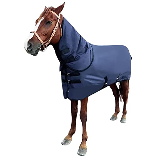 The 10 Best Horse Winter Blanket In 2023 Top Picks &