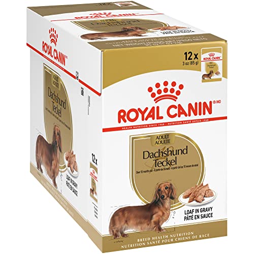 The 10 Best Dog Food For Older Dachshunds In 2023 Top Picks &