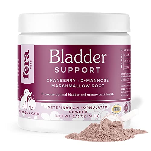 Cat Food To Prevent Bladder Stones