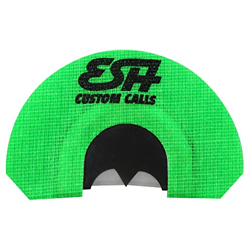 The 10 Best Spurs For Beginners In 2023 Top Picks &