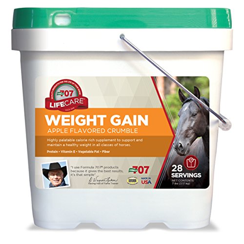 The 10 Best Food For Horses To Gain Weight In 2023 Top Picks
