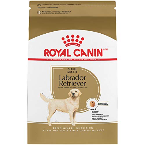 The 10 Best Dry Dog Food For Labs In 2023 Top Picks &