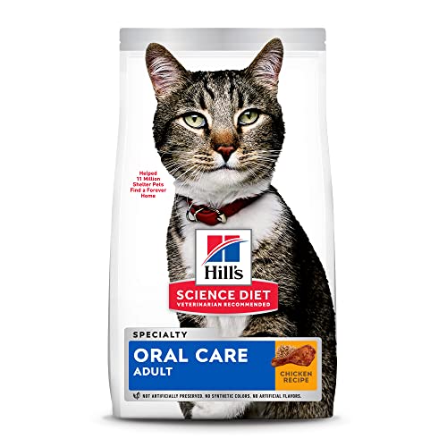 The 10 Best Cat Food For Gingivitis In 2023 Top Picks &