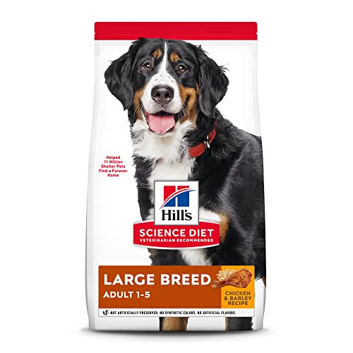 The 10 Best Dry Food For Bernese Mountain Dog In 2023 - Top Picks ...