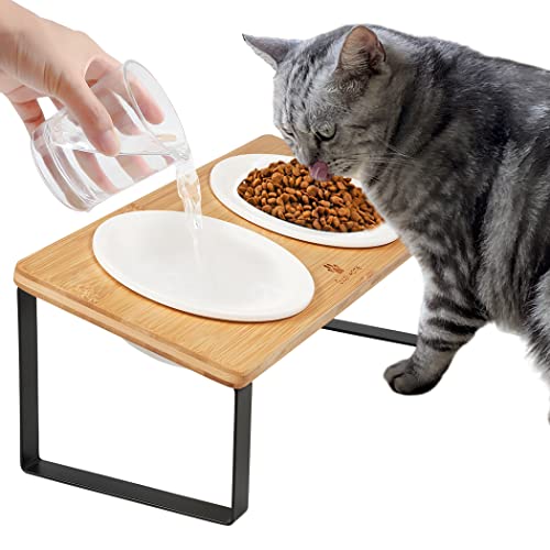 The 10 Best Cat Food For Vomiting In 2023 Top Picks &