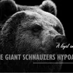 Are Giant Schnauzers Hypoallergenic