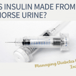 is insulin made from horse urine