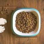 Best Dog Food For Olde English Bulldog